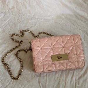 Kate Spade clutch/purse